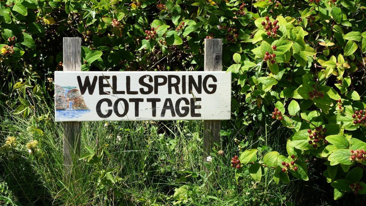 Wellspring Cottage Nr Kynance Cove Lizard Exterior photo